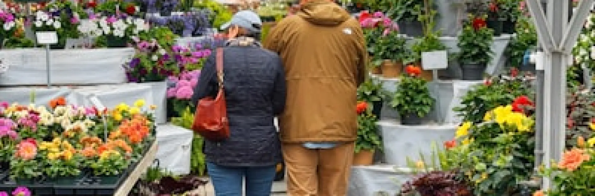 Older couple walking away through a colorful plant nursery