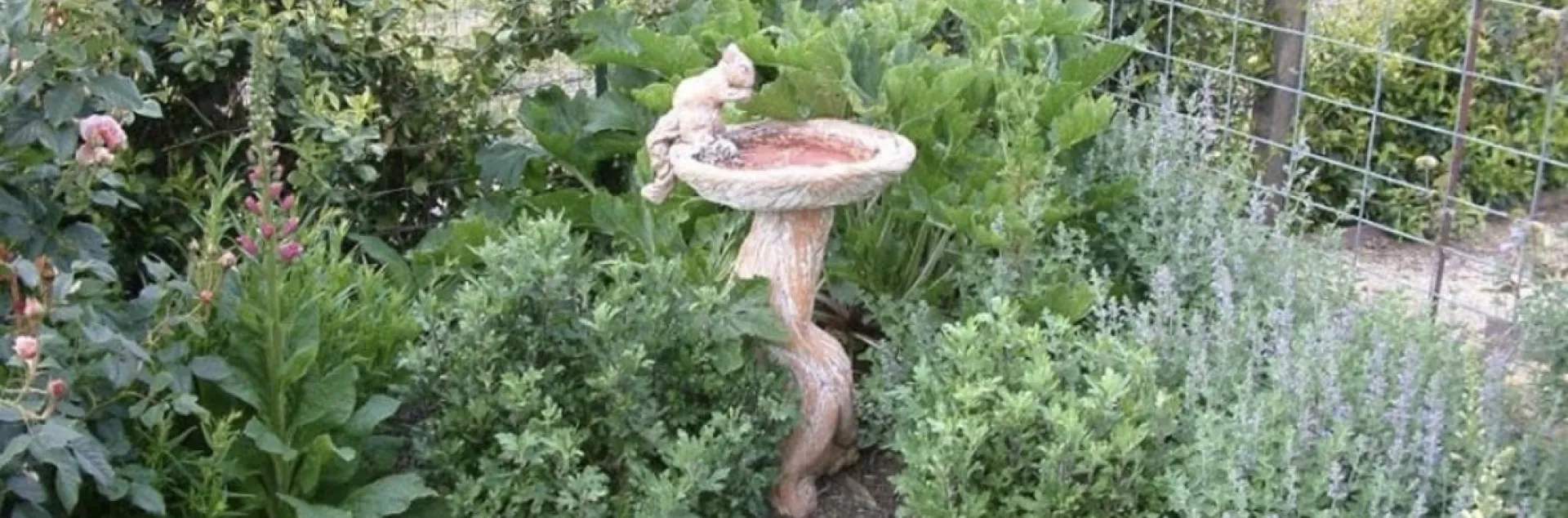 Garden with squirrel figurine