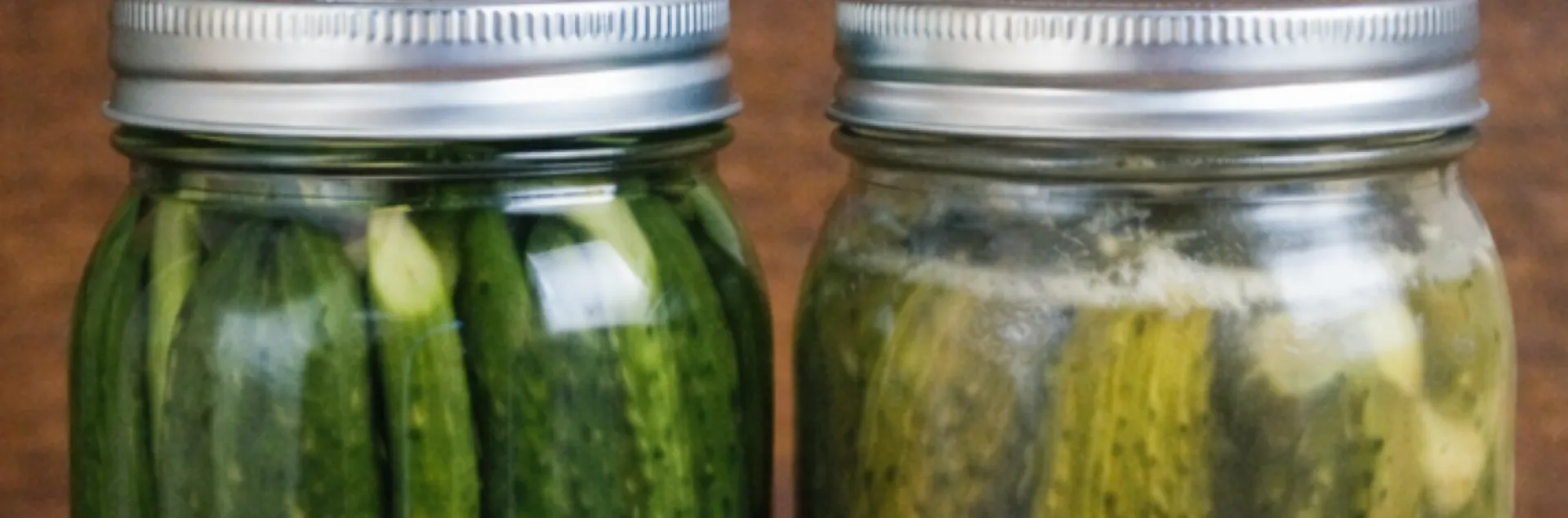 Two jars of cucumber pickles side by side: refrigerator pickles left, fermented pickles right.