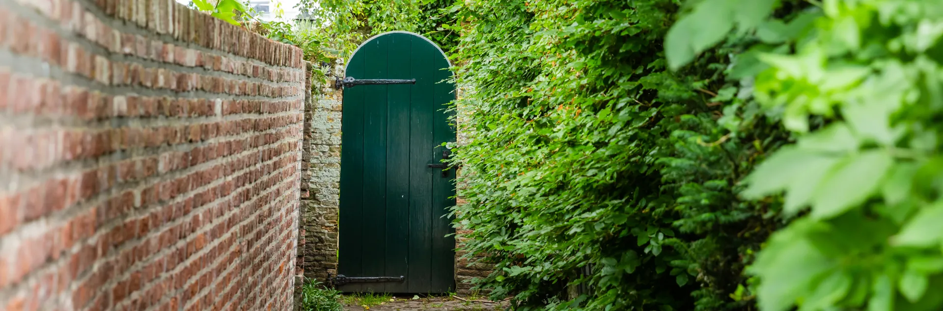 A dark green arched wooden gate set into a brick and stone wall, flanked by dense green climbing vines.