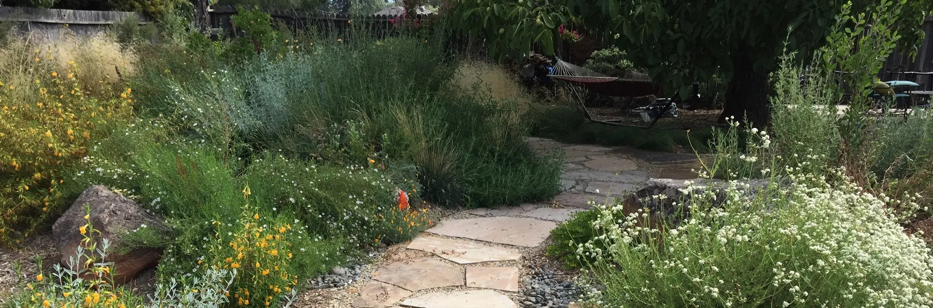 Flowering shrubs and paved curving walkway