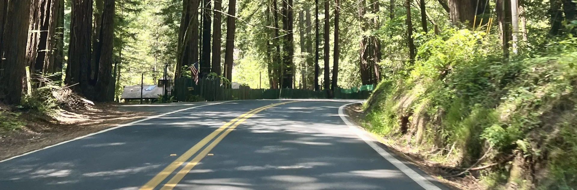 Two-lane road through tall trees from perspective of riding inside a car