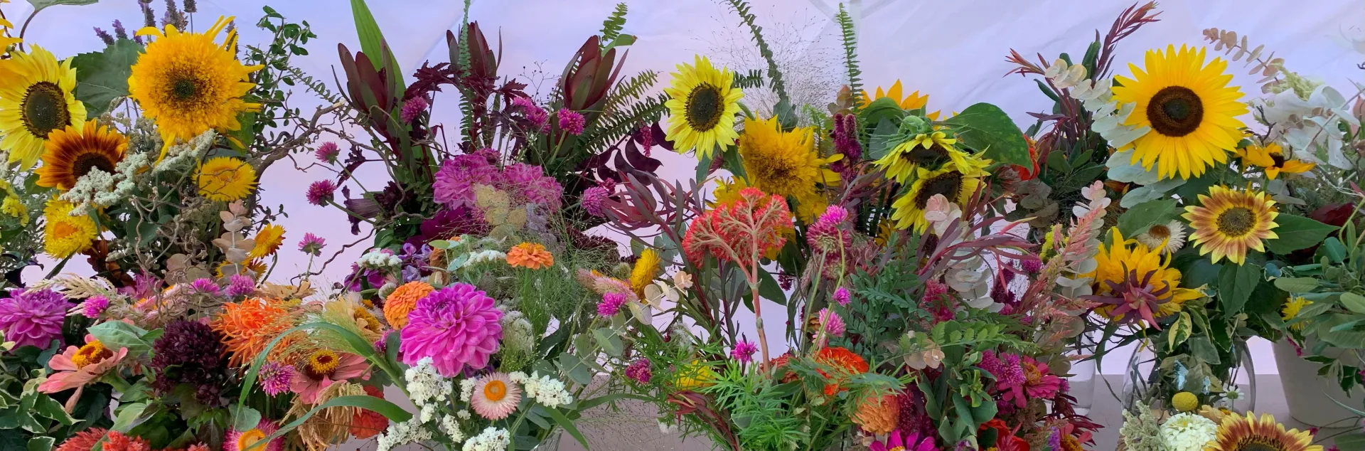 A variety of colorful cut flowers in vases