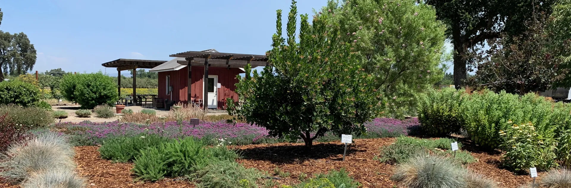 View of the Demo Garden grounds. Laura Kling