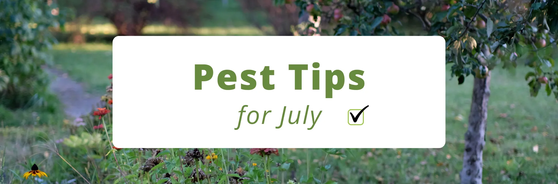 Text reads "Pest Tips for July". In the background you see a picture of a summer garden, abundant with flowers and fruit trees.