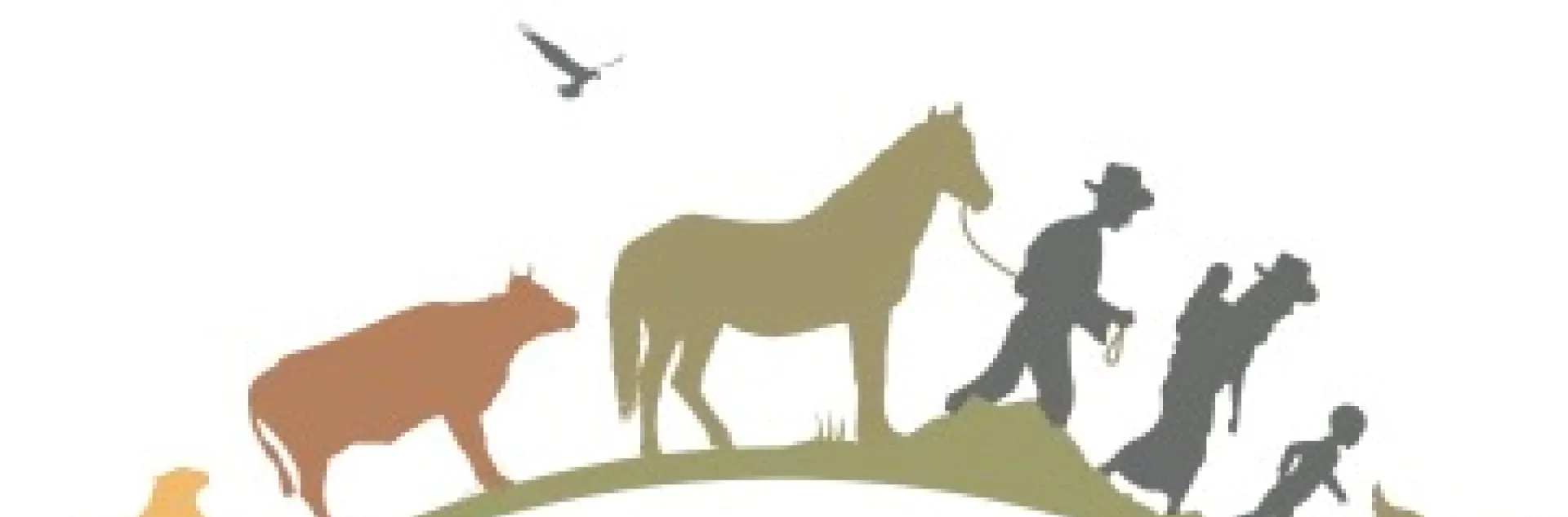 International Year of Rangeland and Pastoralist logo