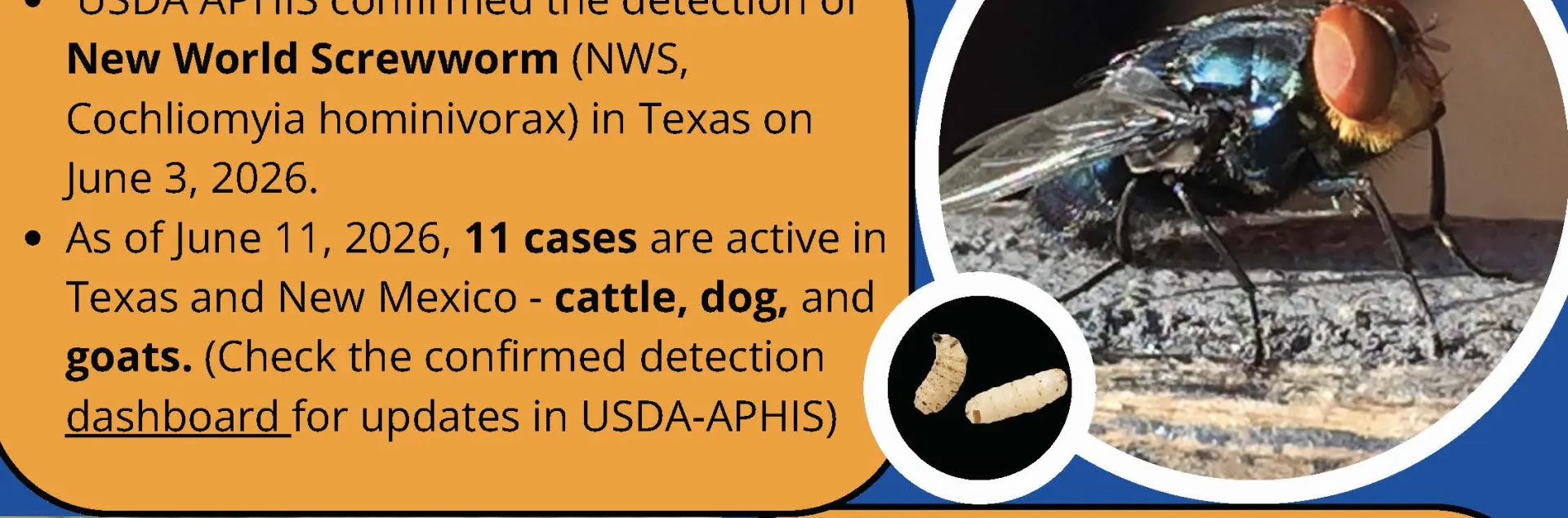 A flier sharing information, links to updates and resources about New World Screworm disease