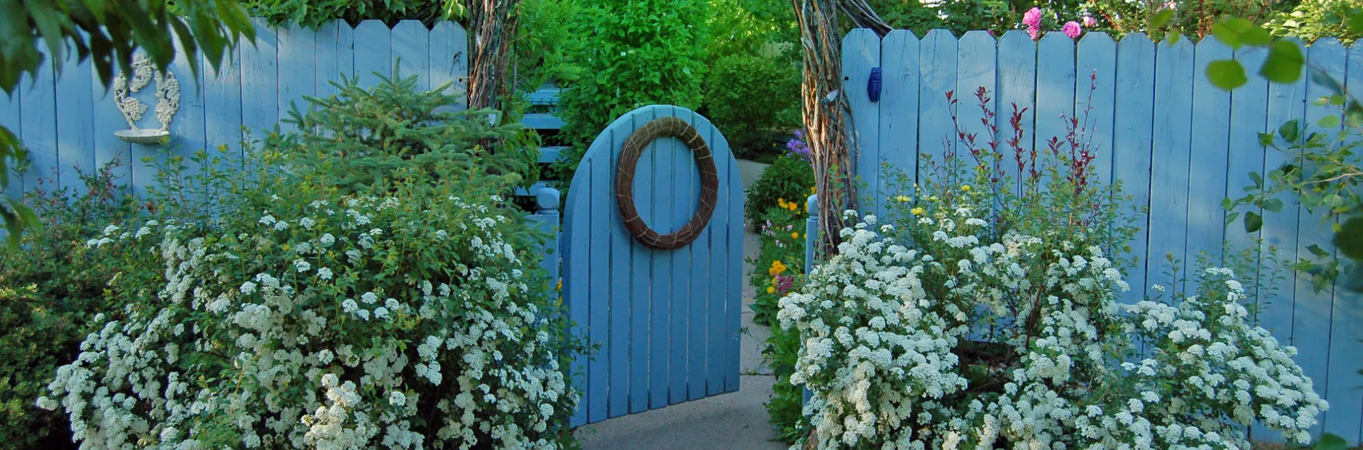 Blue wooden fence and garden gate with white flowers on either side.