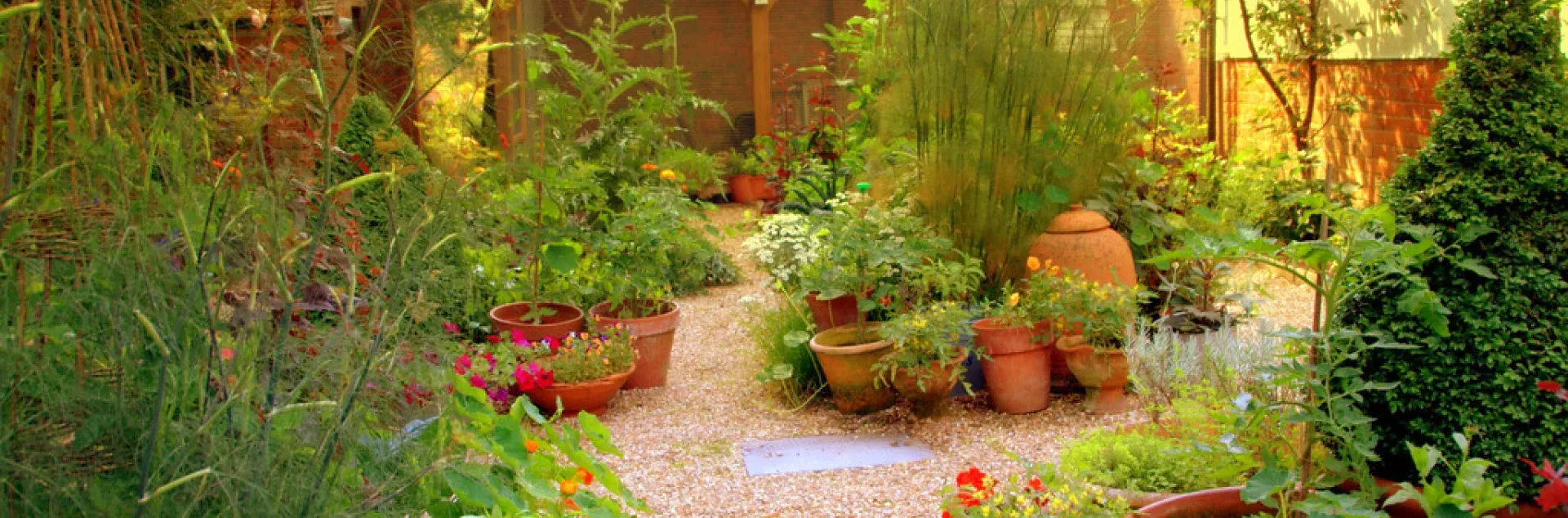 Garden with plants in red pots
