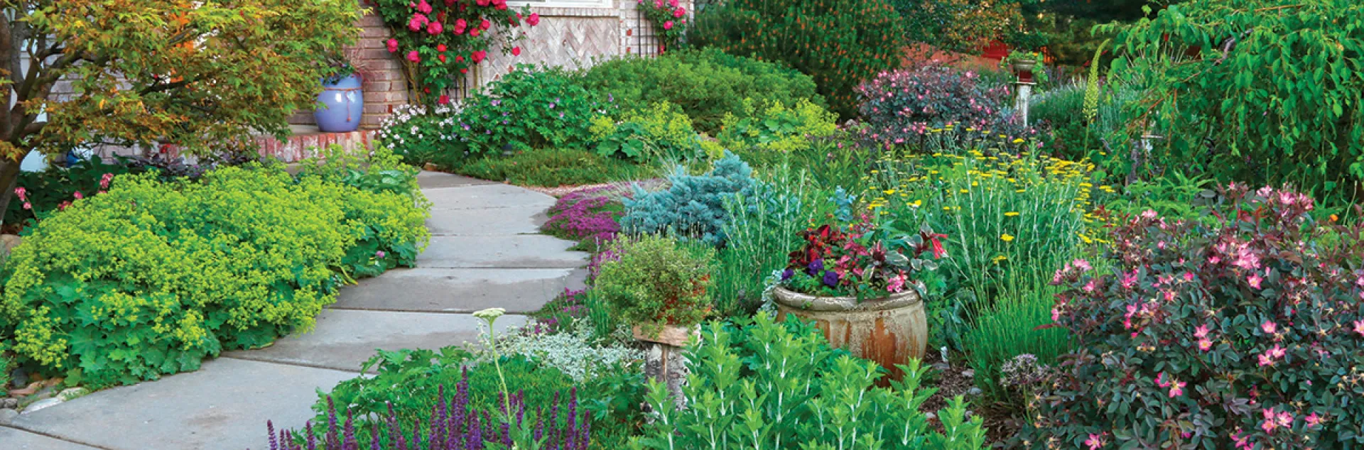 waterwise landscape design with pathway and plants