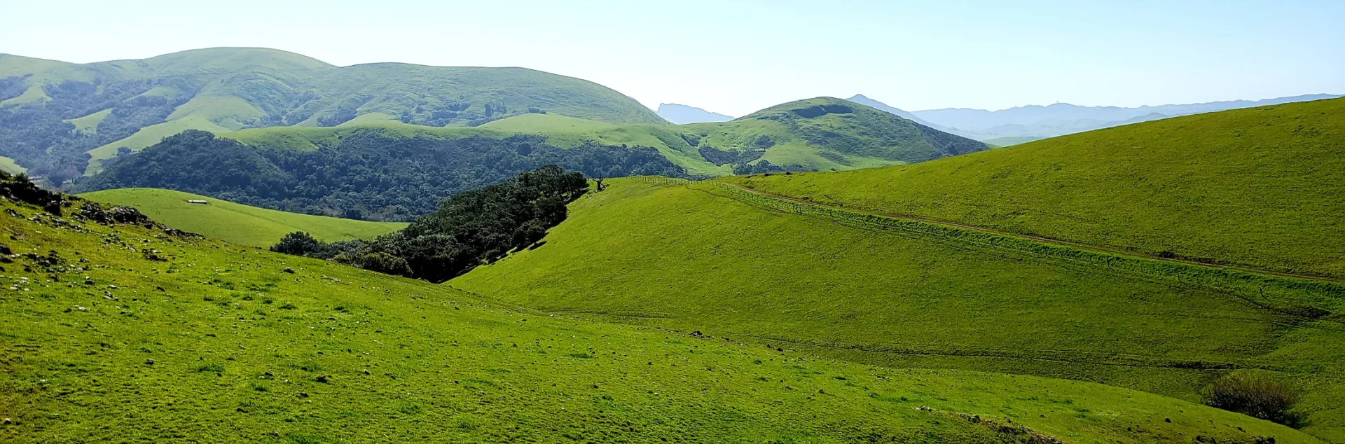 image of green rolling hills