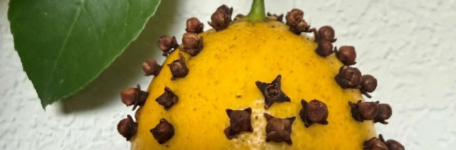 lemon pomador