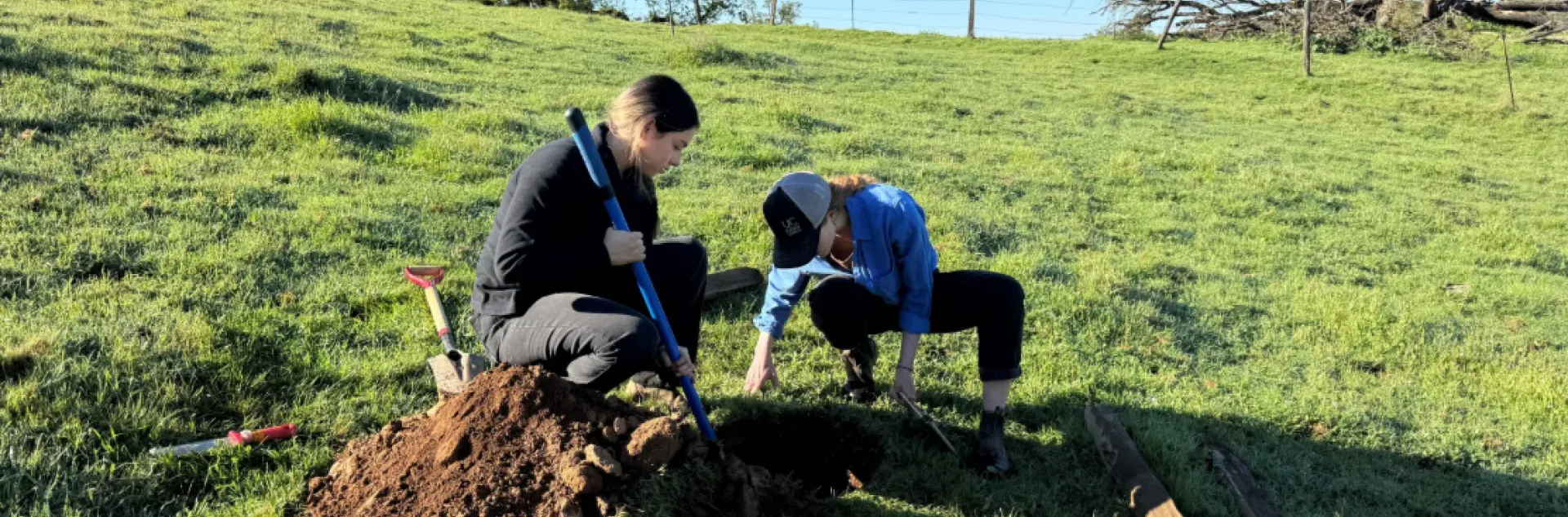 people digging in rangeland