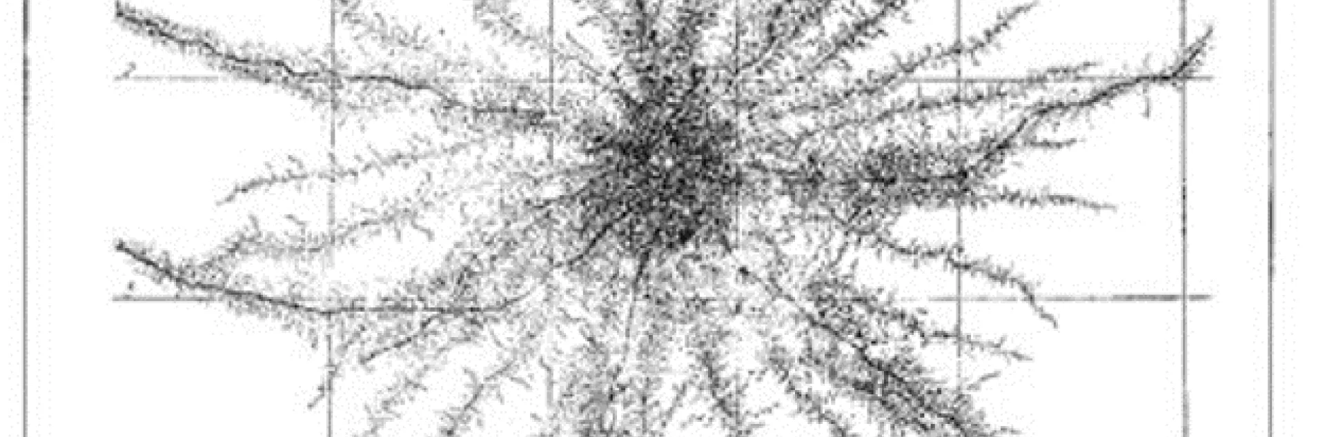beautiful diagram re-creates the pattern (seen from above) of corn roots growing in the top six inches of soil. From Root Development of Vegetable Crops, by John Weaver & William Bruner. 1927. Pages 30-31.