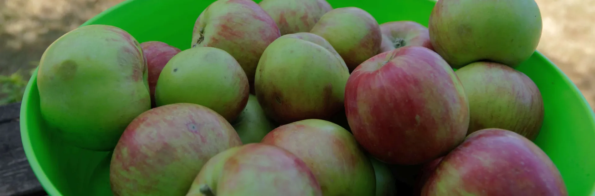 red and green apples in a large plastic basket