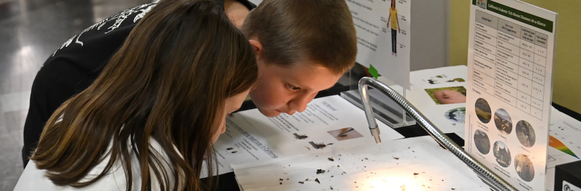 Two children learning about insects at the Bohart Museum of Entomology.