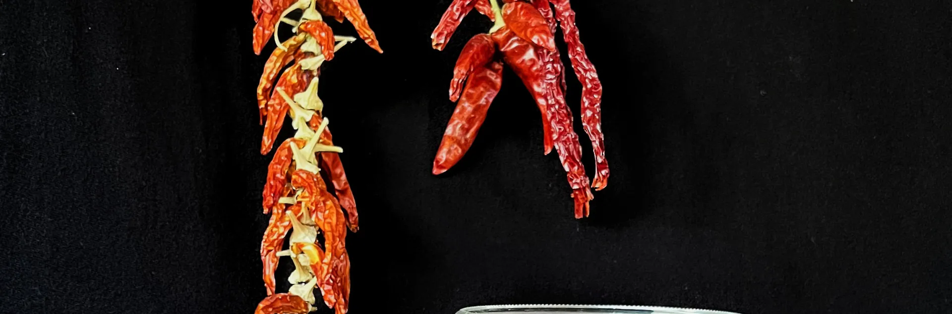 bunches of dried red chilis hang from two strings and occupy a jar