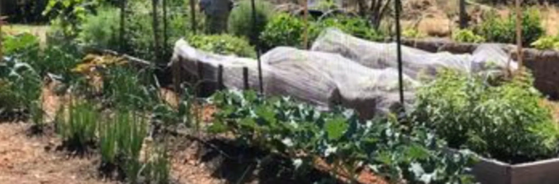 Marin Master Gardener No Dig Edible Demonstration Garden at the Indian Valley Organic Farm and Garden
