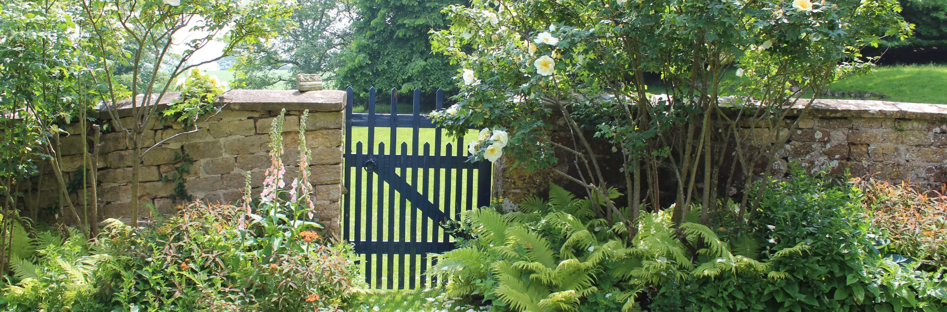 A black garden gate set in a stone wall surrounded by lush ferns, foxgloves, and white flowering shrubs.