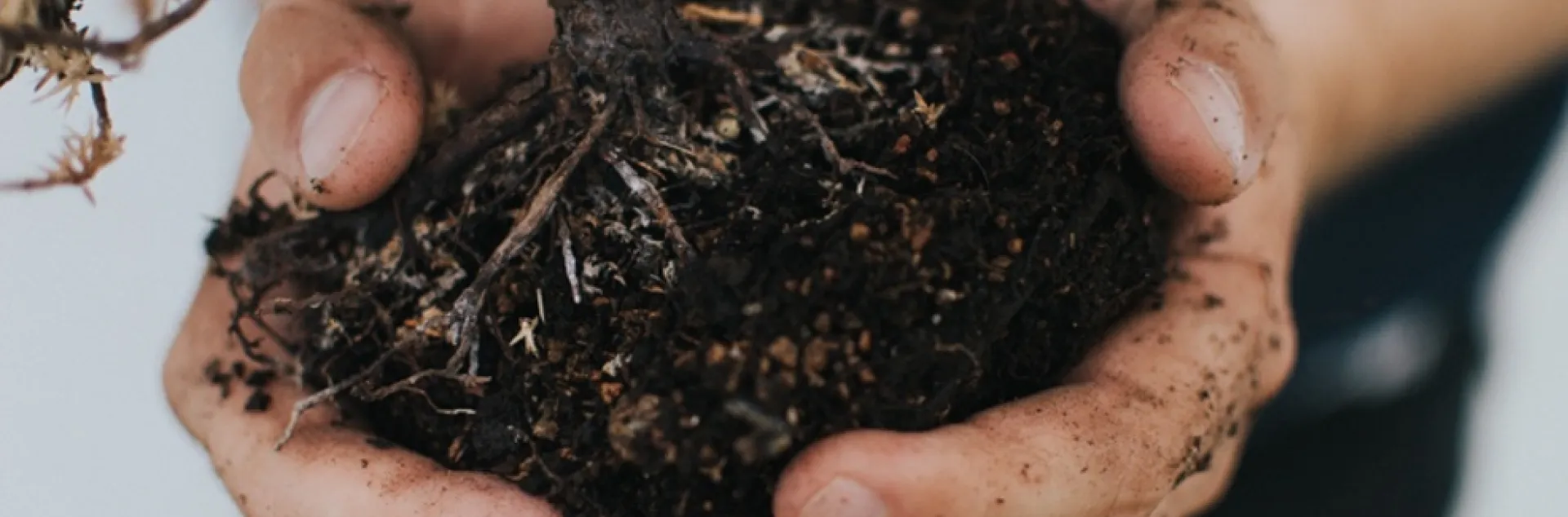 hands holding dark soil