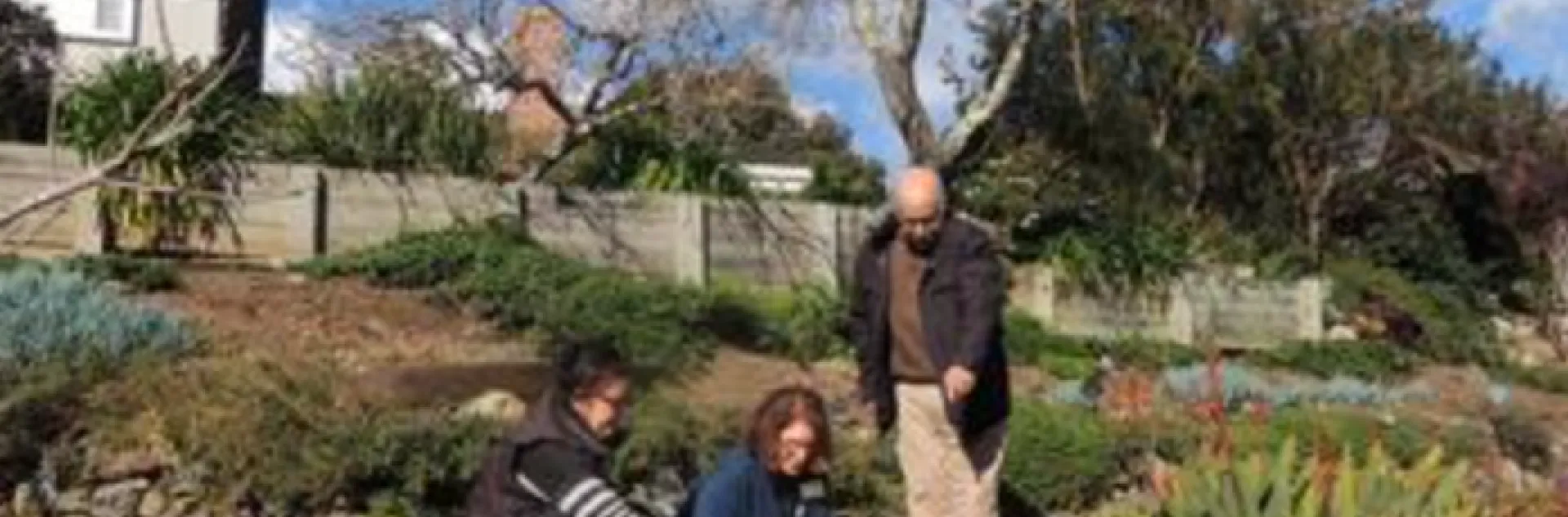 people kneeling in a garden looking at plants
