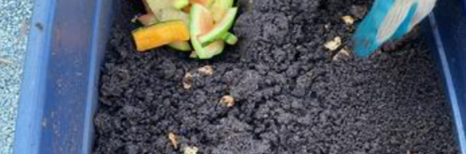 vermiculture worm bin with food scraps and compost inside