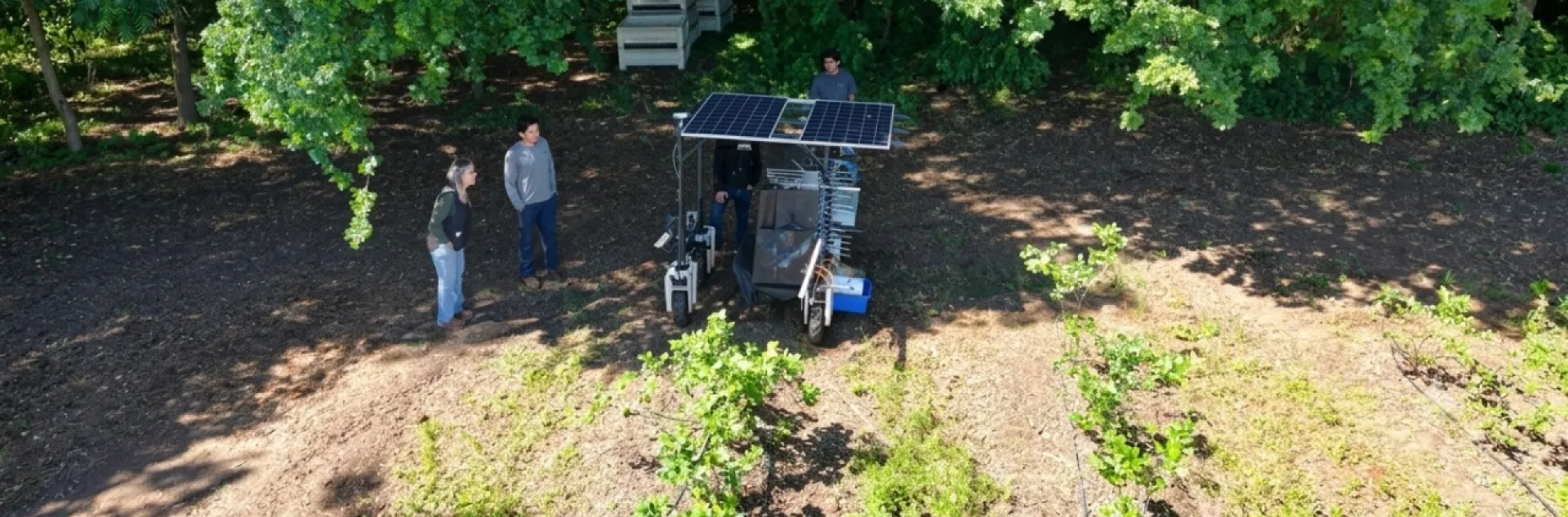 Four people look at an agricultural robot working at the edge of an orchard