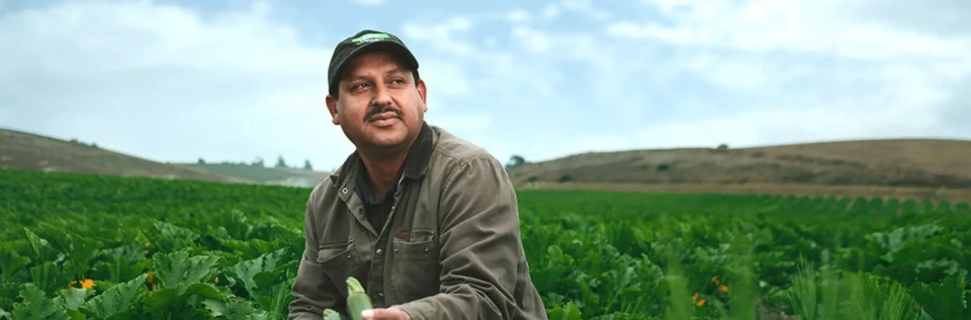 Man holds 2 zucchinis while squatting in a crop field