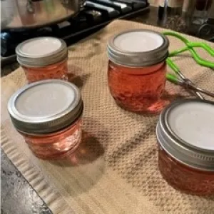 Jelly in jars resting
