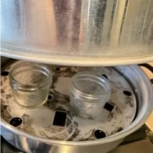 Empty Jars in Steam Canner