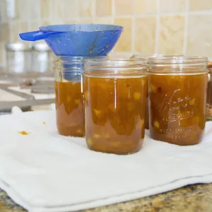 Four jars of peaches in jars with a blue canning funnel.