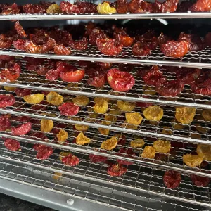 dehydrated tomatoes
