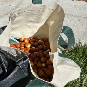 jujube fruits in a sack