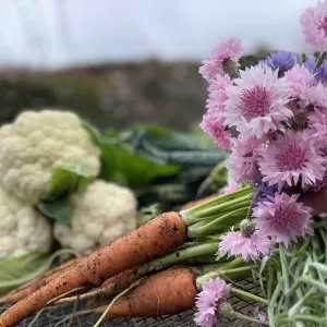 Veggie harvests and blooms
