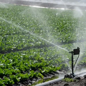 WATER IRRIGATION