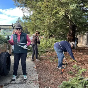 people gathering redwood