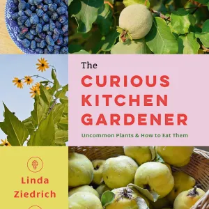 cover of the curious kitchen gardener book