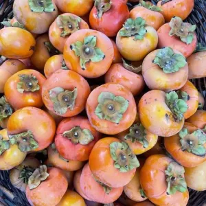a bunch of orange fuyu persimmons