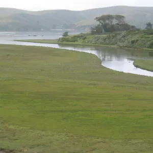 Marin watershed landscape