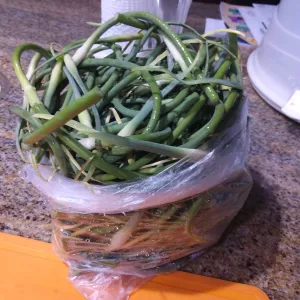 garlic scapes piled in a pot