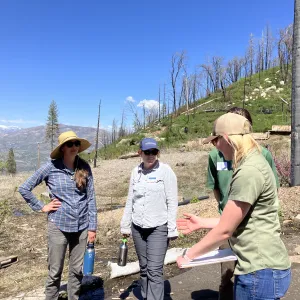 Three people standing and talking