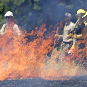 A picture of fire practitioners observing fire behavior of a prescribed fire in a California grassland.