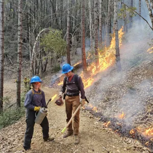 Two community members participating in a prescribed burn in a conifer forest. Standing on a trail next to the fire, wearing personal protective gear and holding prescribed fire tools.