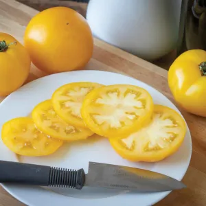 Lemon Boy Tomatoes