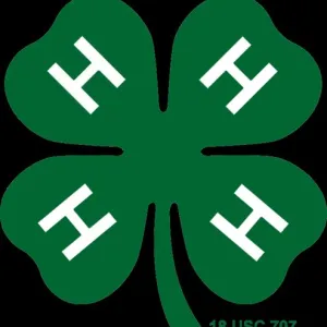 4-H Clover