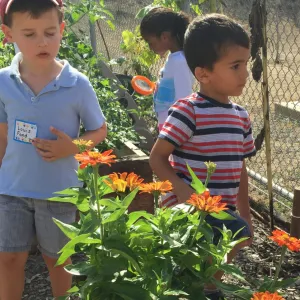 Three children in a flower and vegetable garden