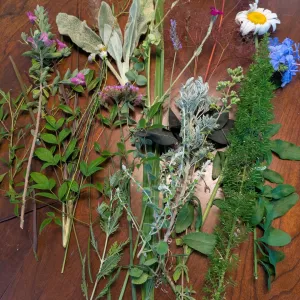 cut flowers and foliage