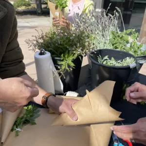 hands gathering materials to put into a bundle
