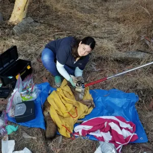 Picture of Niamh with a coyote surrounded by equipment