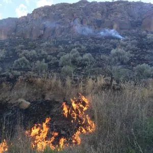 A wildfire burns in the desert.